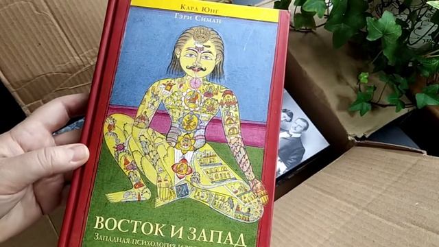 Распаковка АНАЛИТИЧЕСКИХ ЮНГИАНСКИХ книг с COGITO-SHOP смотреть онлайн