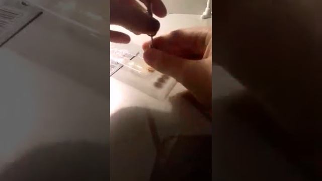 Тестирую подсветку для собак !!!?!! смотреть онлайн