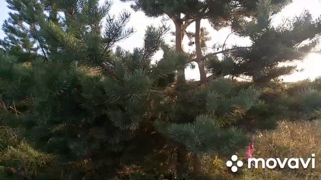 В поисках материала для творчества...