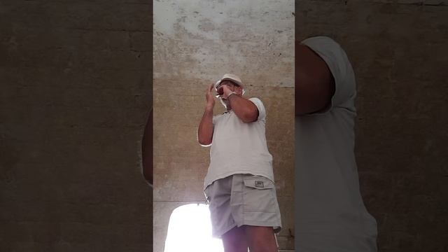 Shanandoah Played On A Seydel  C Harmonica