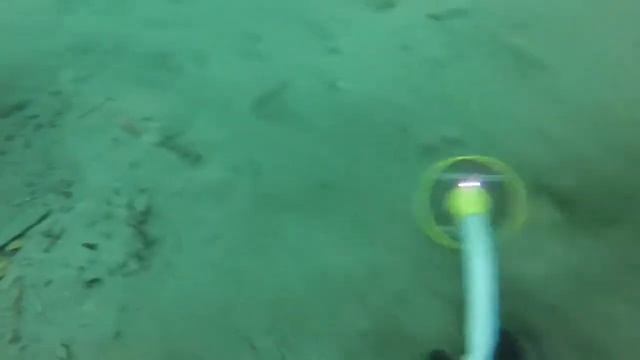 Lagi Asyik Diving Malah Dapat iPhone Menyala di Bawah Laut Kedalaman 9 Meter смотреть онлайн