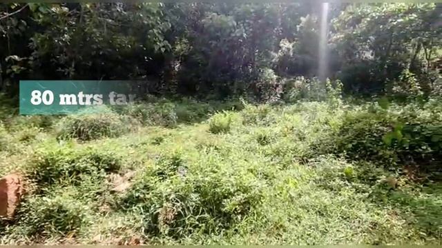 32 Cent Commercial Land For Sale | Palakkad | Pattambi (സെന്റിന് 1.80 ലക്ഷം ) смотреть онлайн