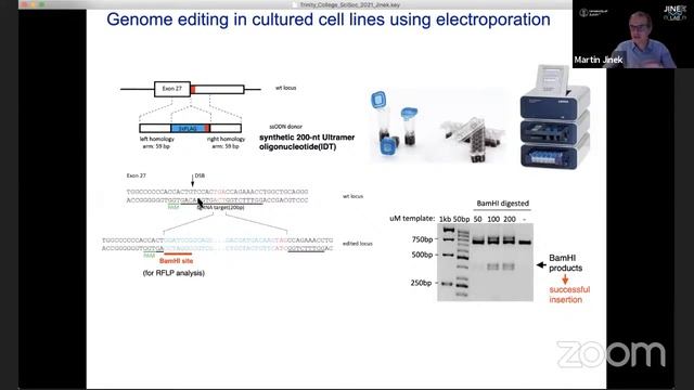 Prof Martin Jínek - CRISPR Cas Genome Editors - from Bacteria to Biotech (25.02.2021) смотреть онлайн