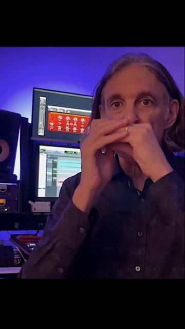 I Am The Walrus…Goo Goo Ga Joob… #harmonica #stereotypes #reality #musician #shorts