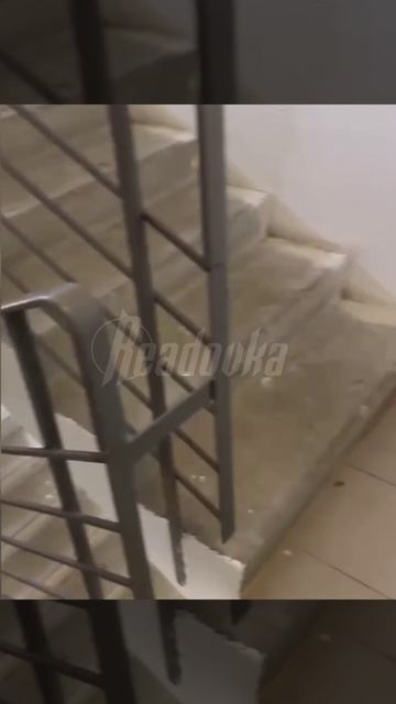 Семья с инвалидом и ребенком вынуждена каждый день подниматься пешком на 15-й этаж смотреть онлайн