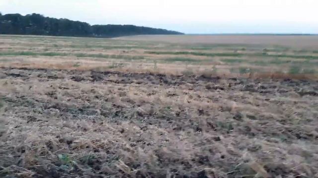 Дисковка стерні і результати експерименту смотреть онлайн