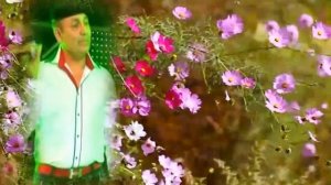 Үкенмә....Рафаэль Латыпов