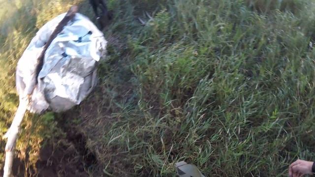 #дендробена день 206 ВЫЕХАЛИ НА ПРИРОДУ и вывезли почти всех червей на волю смотреть онлайн