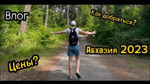 Абхазия .Пицунда.КАК ДОБРАТЬСЯ? ЦЕНЫ В МАГАЗИНЕ АБХАЗИИ! ВЛОГ!