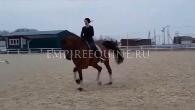1315 смотреть онлайн
