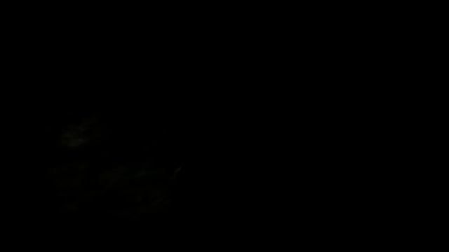 Сказ о том как Ловца стрелять учили, внимание не нормативная лексика не подобающее поведение смотреть онлайн