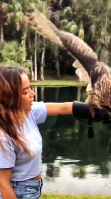 Bird land perfect in girl hand happy reaction смотреть онлайн