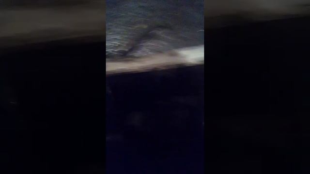 Сорока. Начало работ с мотором. смотреть онлайн