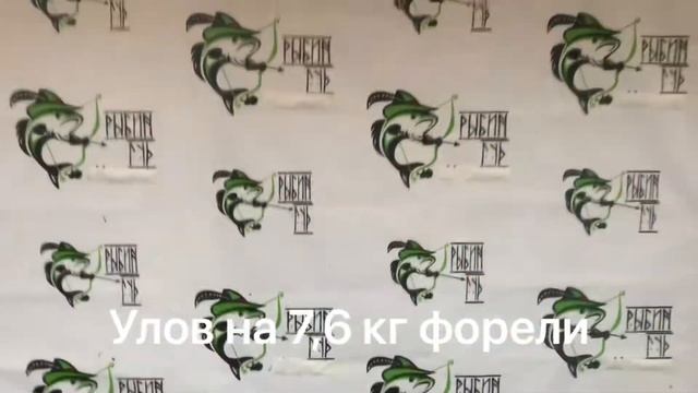 Улов на 7,6 кг форели смотреть онлайн