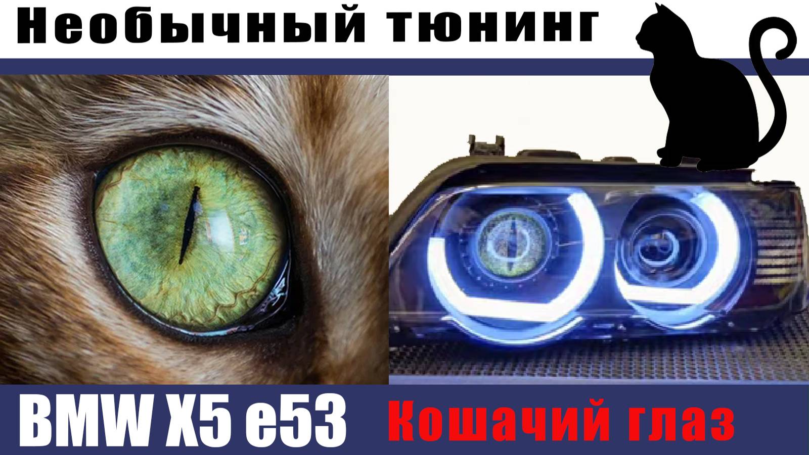 BMW e46 фары глаза кошки смотреть онлайн