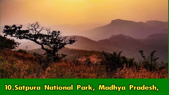 Top 20 National Parks in India That You Need to Visit | Best 20 National Parks in India. смотреть онлайн