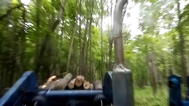 Сегодня ездил в лес на МТЗ-80 смотреть онлайн