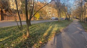 Царицыно: Весёлая улица (2022)