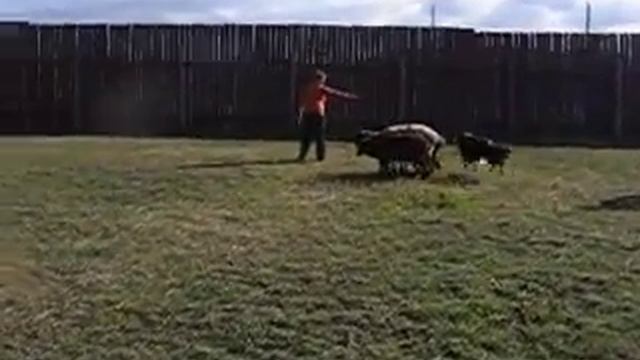 Ergo 1, 21 09 09 смотреть онлайн