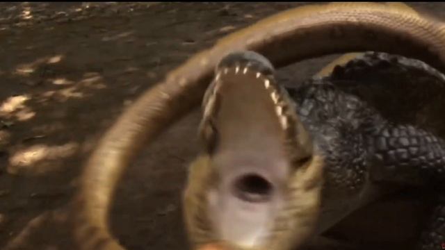 LAKE PLACID VS ANACONDA / MUSIC VIDEO смотреть онлайн