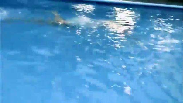 tema nudo de amor cantautor gonzalo torres offcial смотреть онлайн