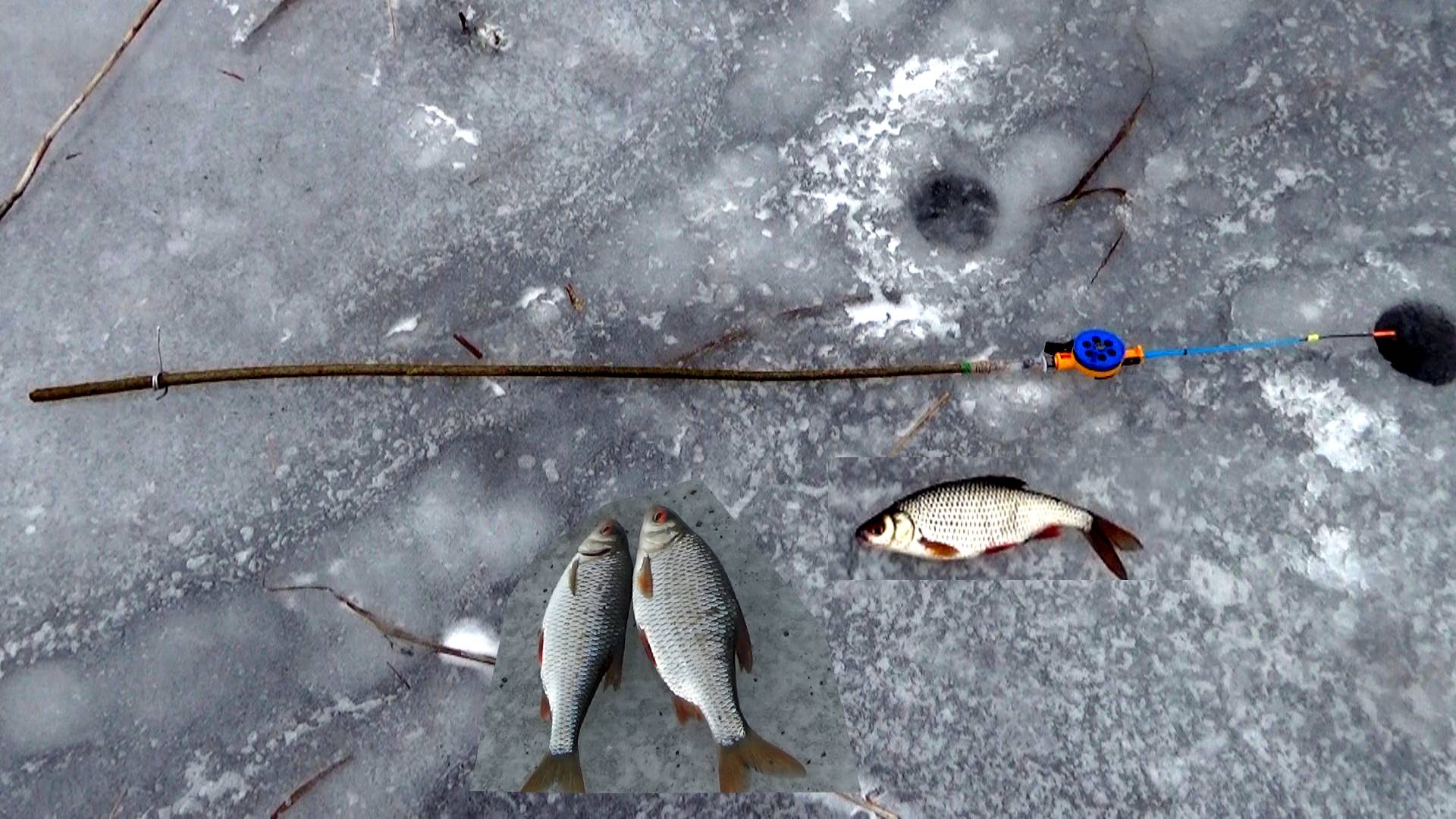 Рыбалка 24 января в глухозимье- ДЛИННЫЕ ЗИМНИЕ СЕГОДНЯ РУЛЯТ, на обычные - мелочь.. смотреть онлайн