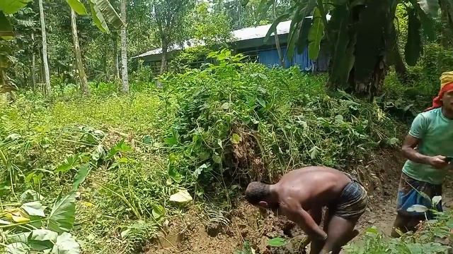 মাটি কাটার কাজ || দেখুন কিভাবে মাটি কাটা হচ্ছে смотреть онлайн