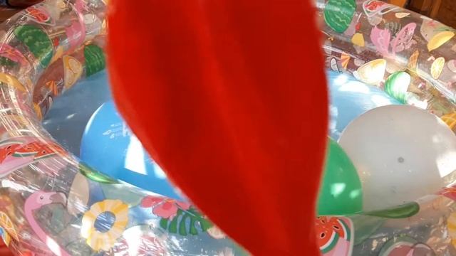 УЧИМ ЦВЕТА И ЦИФРЫ! Цветные шары в бассейне! Учимся считать от 1 до 5. смотреть онлайн