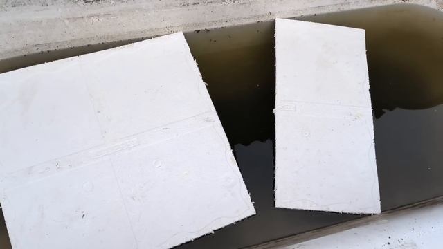 Самый простой и ленивый способ размножения винограда летом.