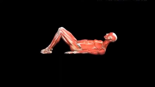 Касания пяток лежа на спине Bodyweight heel touch смотреть онлайн