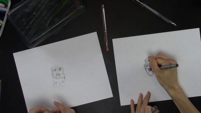 How To Draw a Tarantula смотреть онлайн
