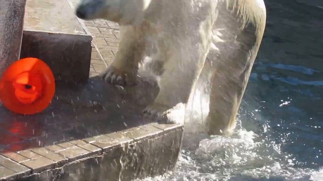 Кай смял конус 01 04 16 смотреть онлайн