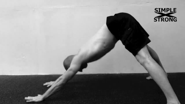 Great Gama Protocol: Dands साधारण दण्ड aka Hindu pushups | SIMPLEXSTRONG смотреть онлайн