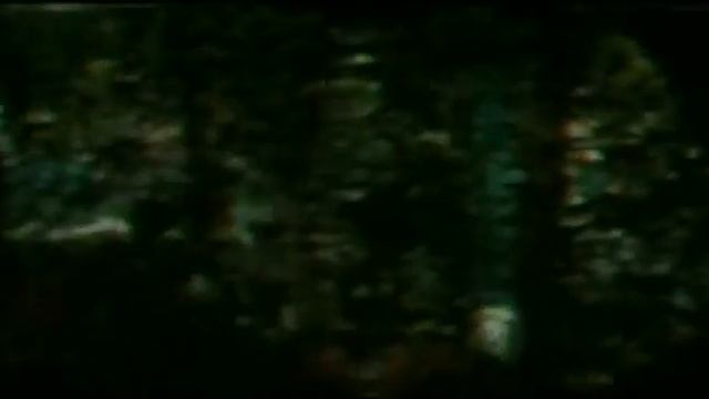 50 Cent Feat Timbaland and Justin Timberlake Ayo Technology DivX 2007 HDTV смотреть онлайн