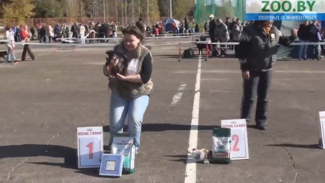 Best Baby смотреть онлайн