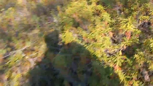 когда Восток отставал ,его хотели вороны сожрать вся стая летела заним. смотреть онлайн