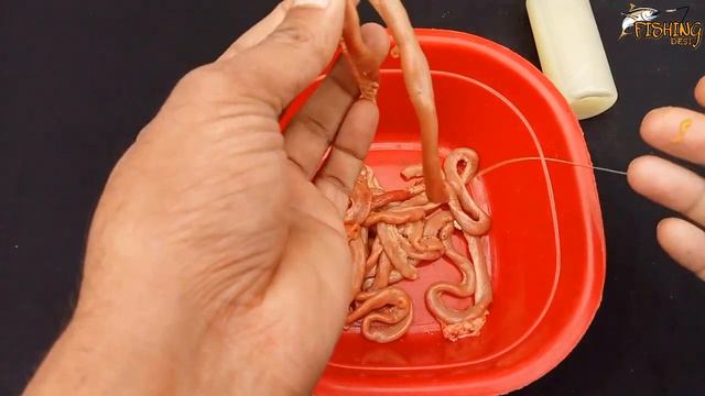 पठान मछली का सबसे अच्छा चारा | best bait for big pathan/wallago fish смотреть онлайн