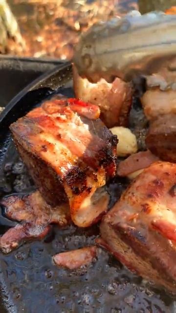 Bacon-wrapped Venison with onion jam смотреть онлайн
