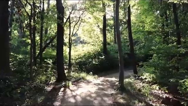 Усиление напряжения на работе. Почему такие не выносимые условия. И что делать?