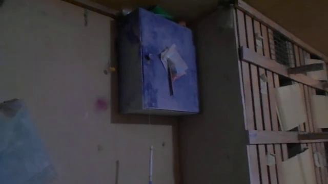 Чистопольские голуби 2022 смотреть онлайн