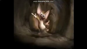 летучая мышка - танцует и поёт.