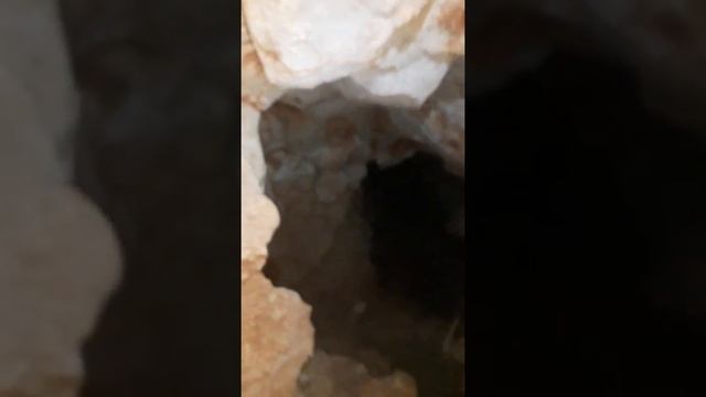 Араван, гора Кеклик учар, новая пещера... 2 видео... смотреть онлайн