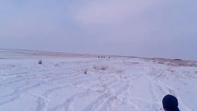 Аксу ауданы ,Қарашілік ауылы... смотреть онлайн