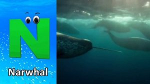 Sea Animals ABC Song | Sea Animals Alphabet Song | Learn The Names of Sea Animals | Learn ABC | Bab