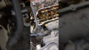 Lexus RX330 Замена ремня ГРМ , прокладки клапаных крышек , сальников распредвала.