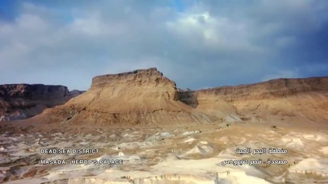 Palestine смотреть онлайн