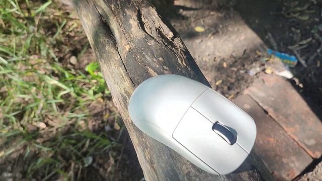 Выгуливаю своего грызуна смотреть онлайн