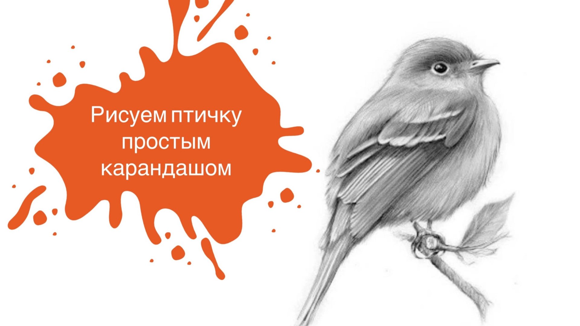 Рисуем Птичку Простым Карандашом!