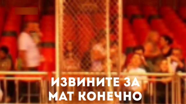 СТС4 Анонс 10 лет мультфильму Карычу!!! (26.01.2025 11:59-12:00) смотреть онлайн