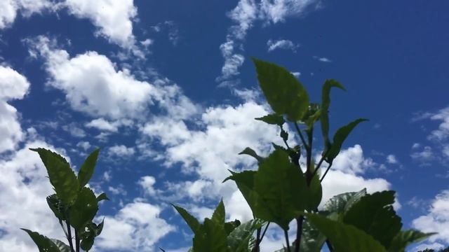 Пока жена была в больнице, муж так расслабился, что забыл, когда её выписывают У него глаза на смотреть онлайн